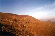 Яйла 

 Вершина Куш-Каи - яйла. Совсем недавно ценился каждый сантиметр горизонтальной поверхности, а теперь поле... Осень 2000.